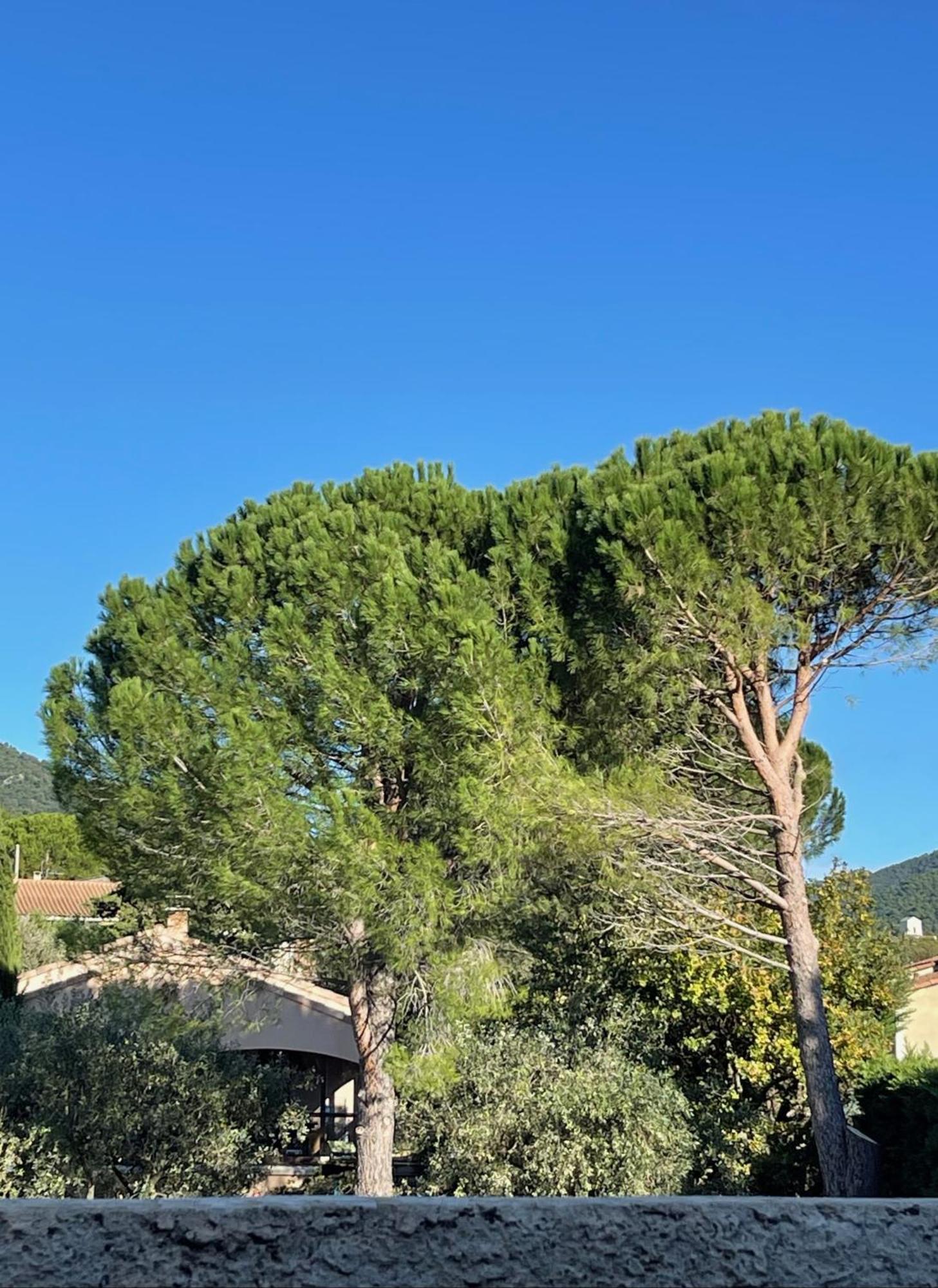 Le Mas de Mirabel Extérieur photo
